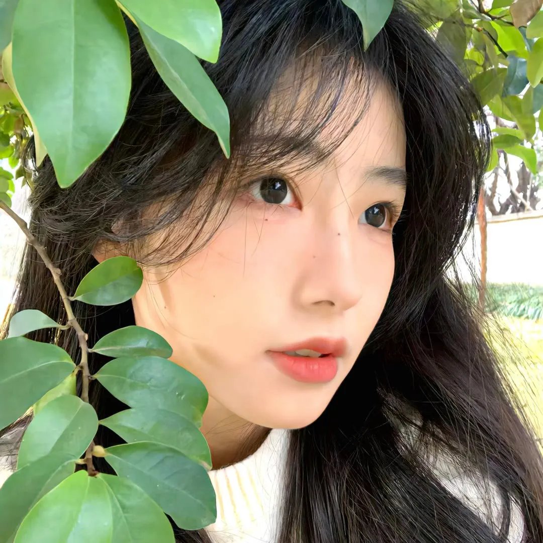 血婚 海报